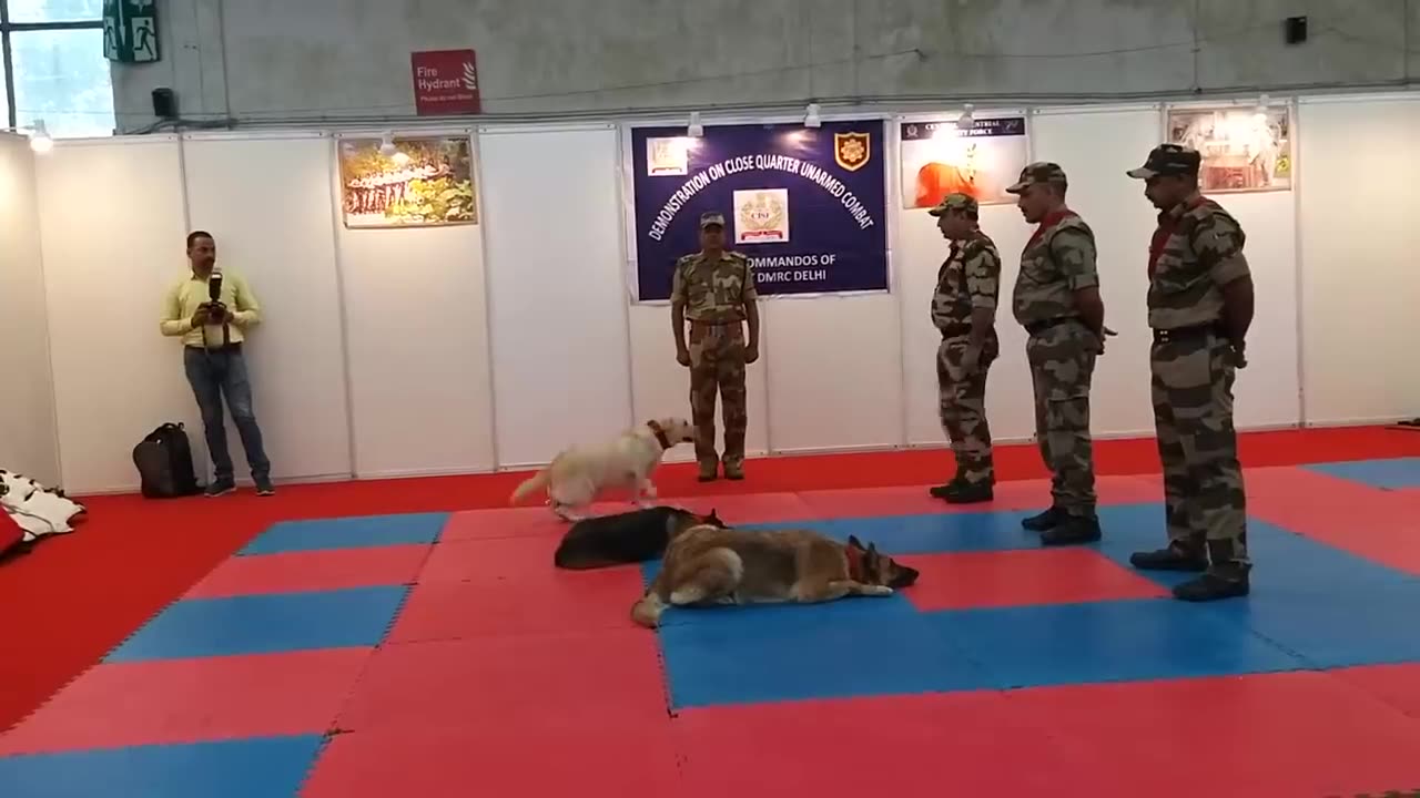 CISF demonstration of Dog squad/ dog 🐶 training with army