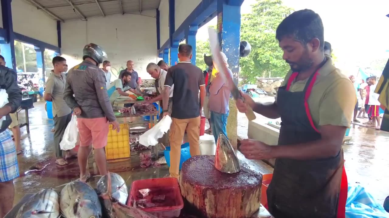 Amazing Tuna Cutting Skills