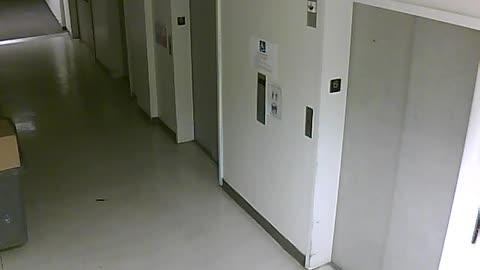 3904PSQB06FreightLobbyRear_2021-01-05_01h00min00s523ms.mp4