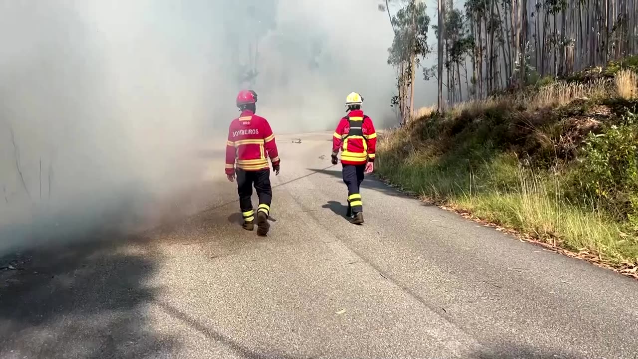 Portugal asks for EU help as wildfires continue to rage