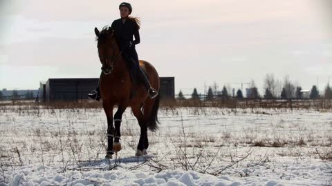 Horse riding - bay horse riding with a rider in the snow