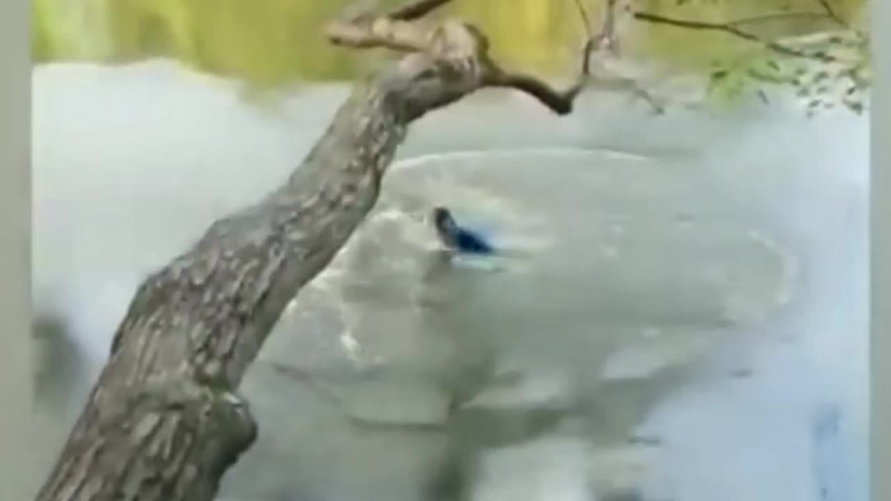 That's going to hurt