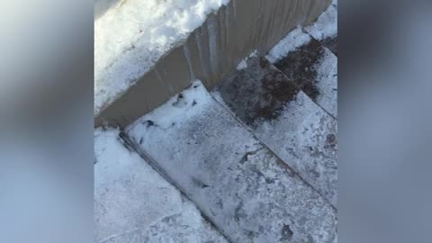 Ice Dam on the ground