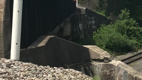 Norfolk Southern Fort Wayne freight train upclose