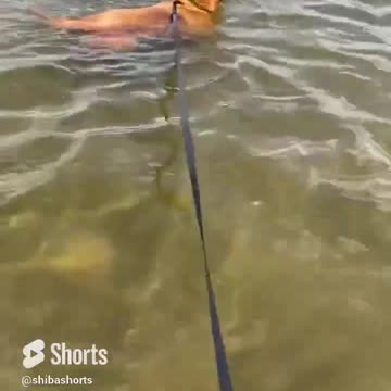 how to do a water walk