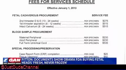 Why Would President Obama's FDA Purchase Aborted Baby Heads And Other Body Parts?