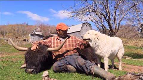 Inspiring story of an unusual animal friendship