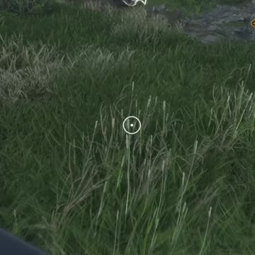 How many are there! Hunter Call of the Wild