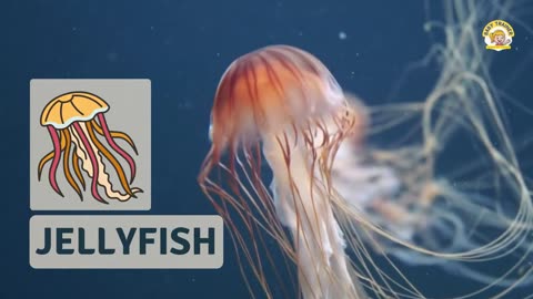 Se. Animals Names for Kids in English |Water Animals Names - Sea Animals for Kids