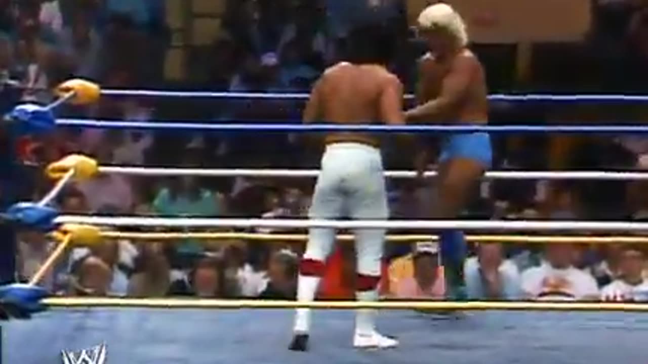 (1989.05.07) Ric Flair vs Ricky Steamboat - WrestleWar 89 - WCW