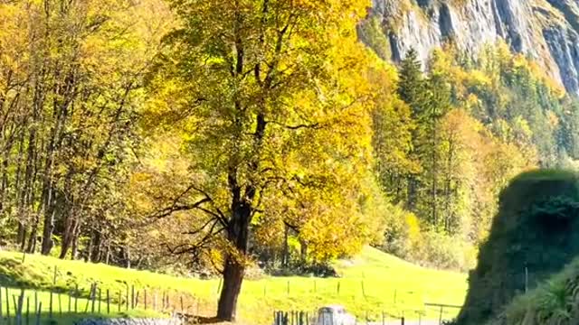 Scenery along the road