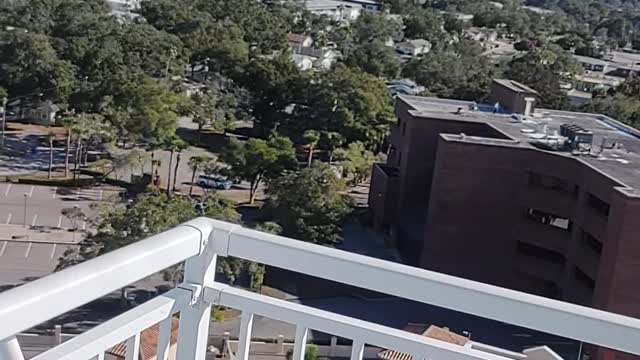 Tampa Bay Chemtrail Report, 1/6/2022 #2