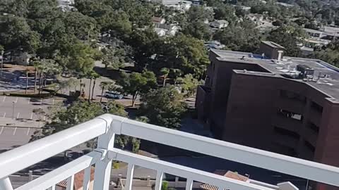 Tampa Bay Chemtrail Report, 1/6/2022 #2