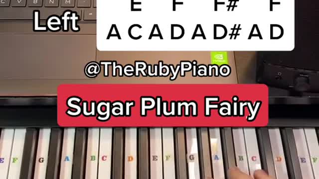 ✨Sugar Plum Fairy Piano Lesson✨🧚♀️