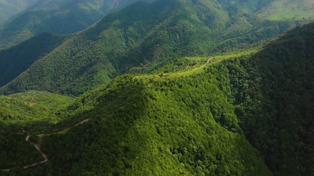 This Beautiful 4K Aerial Video Of A Mountain And Forest