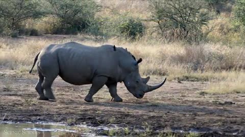 Beautiful and Breathetaking captures, sights of nature and it's fascinating wildlife