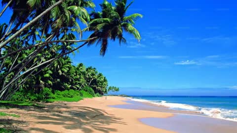 THE LORD IS AGAINST BEACH AND SWIMWEAR