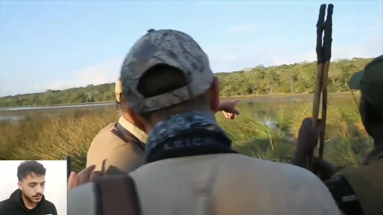 Hippo VS Hunter