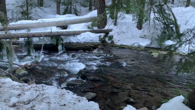 Standing Shoreline – Tamanawas Falls – Mount Hood – Oregon – 4K