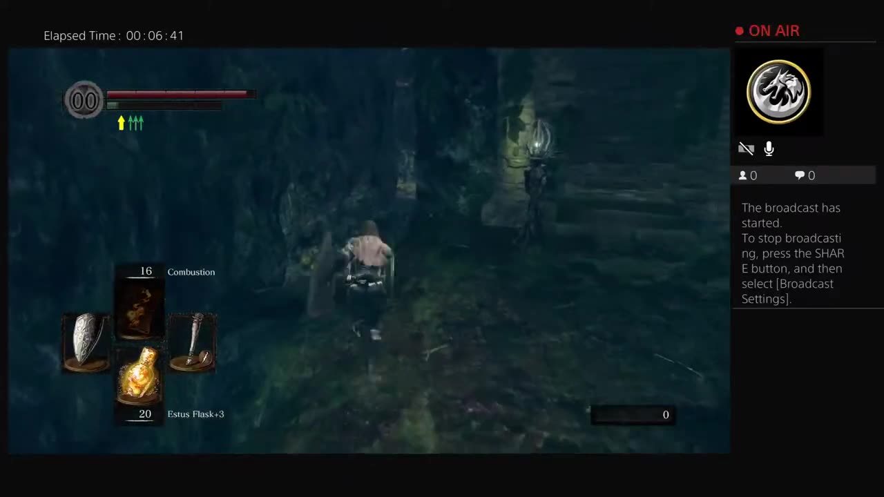 Dark souls Remastered