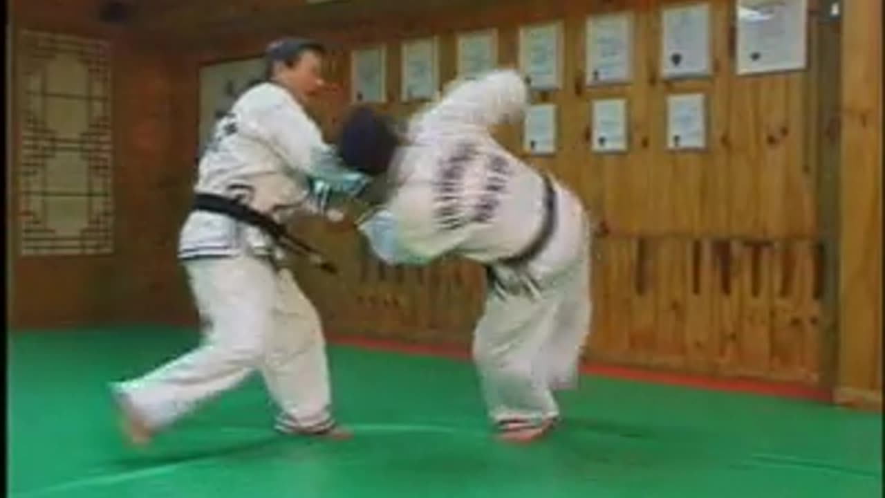 Hapkido