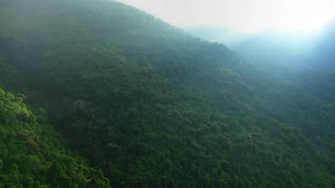 Light rays over green hillside