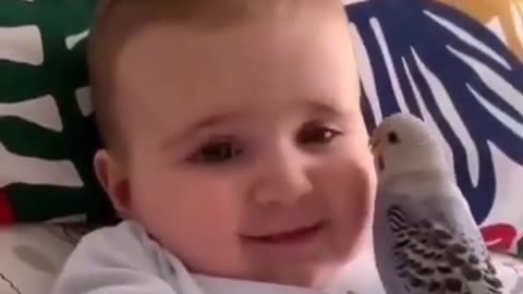 Best Babies Laughing Video Compilation/Funny Babies Laughing Hysterically /Cute little babies video