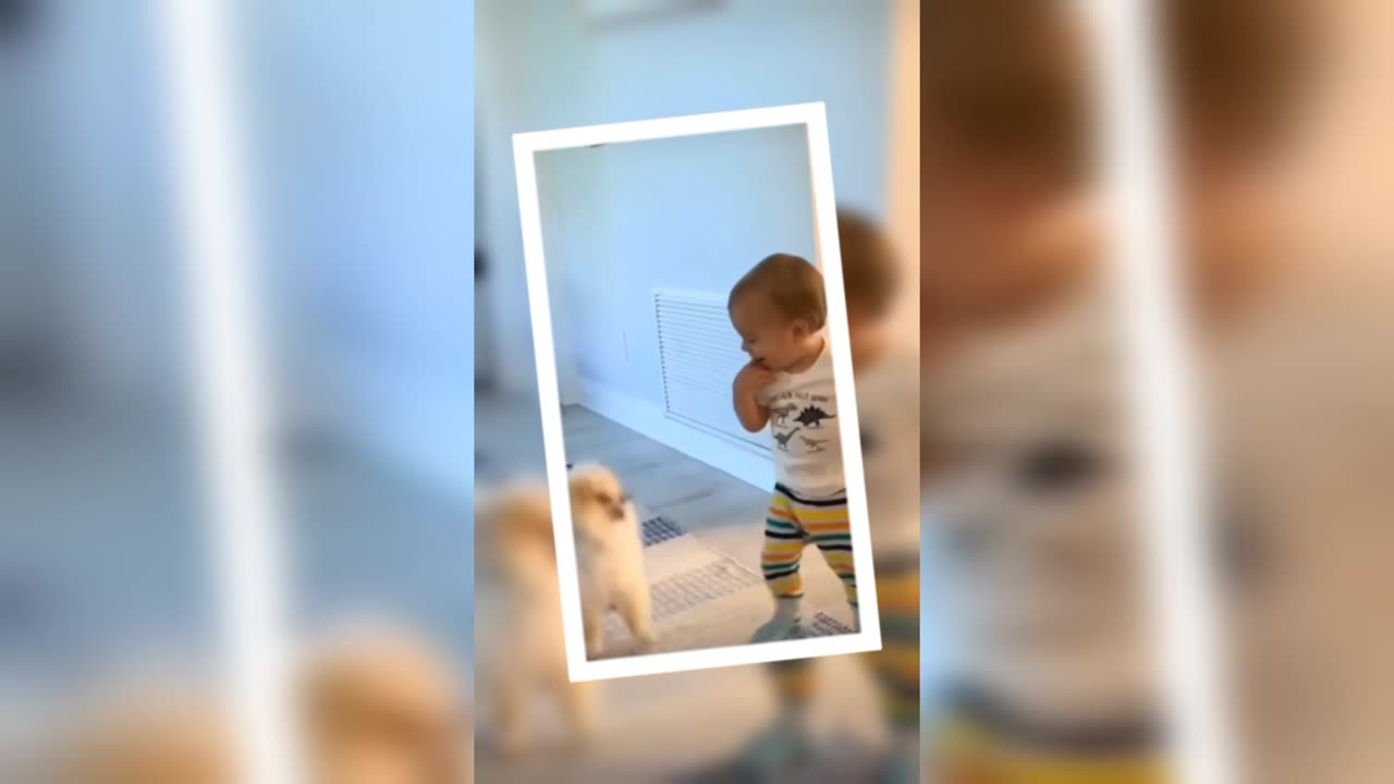 Funny puppy and baby laughing moment