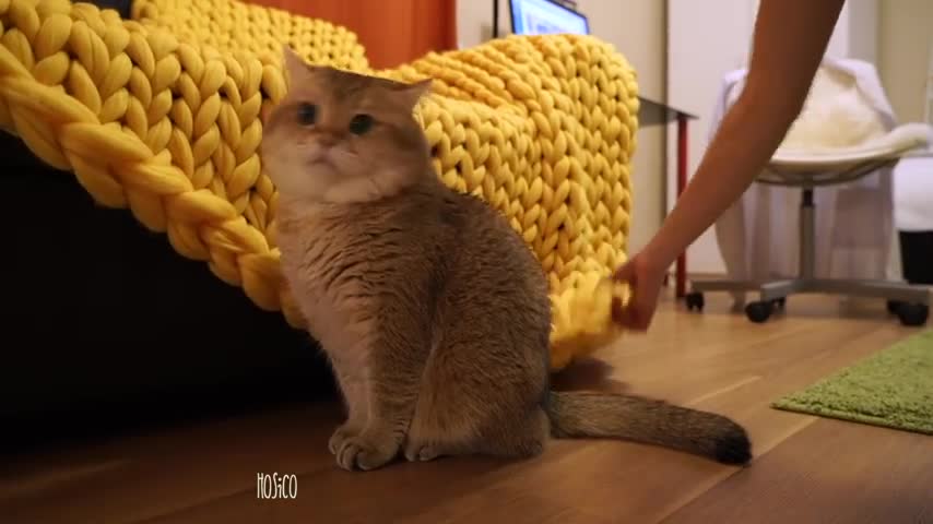 Fluffy and soft as I am