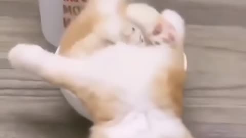 🤣🤣🤣🤣