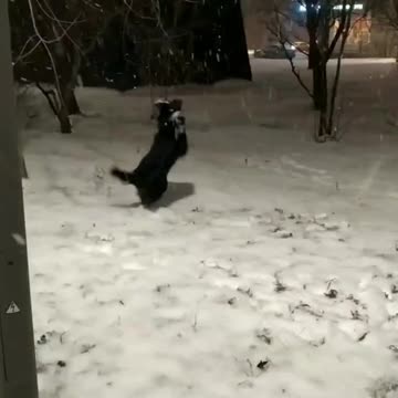 Cold delicious and refreshing snowflakes