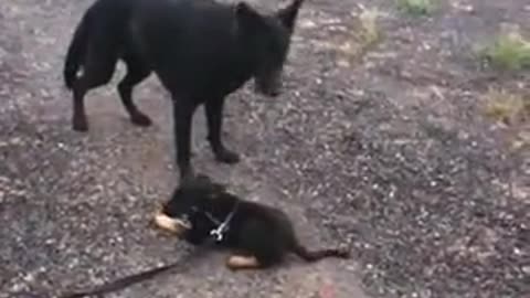 Nimah & Baby Fiona