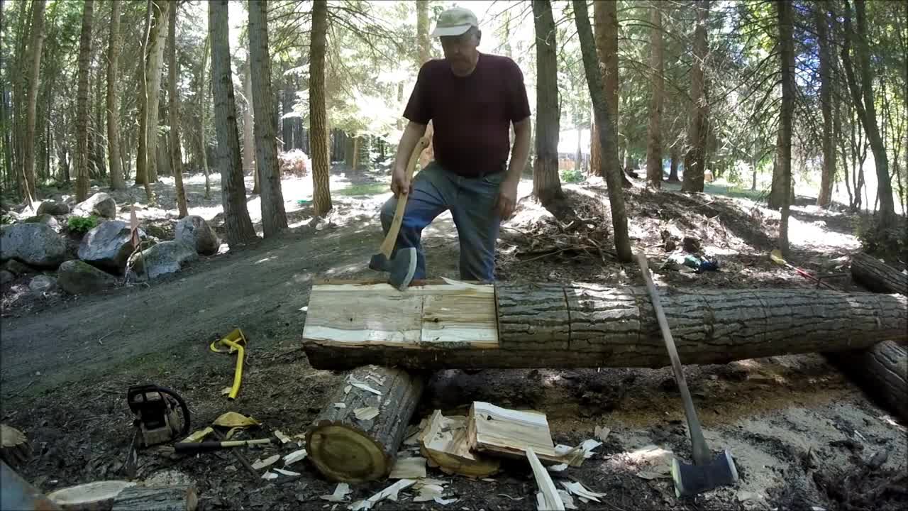 Cut down the log of the cabin