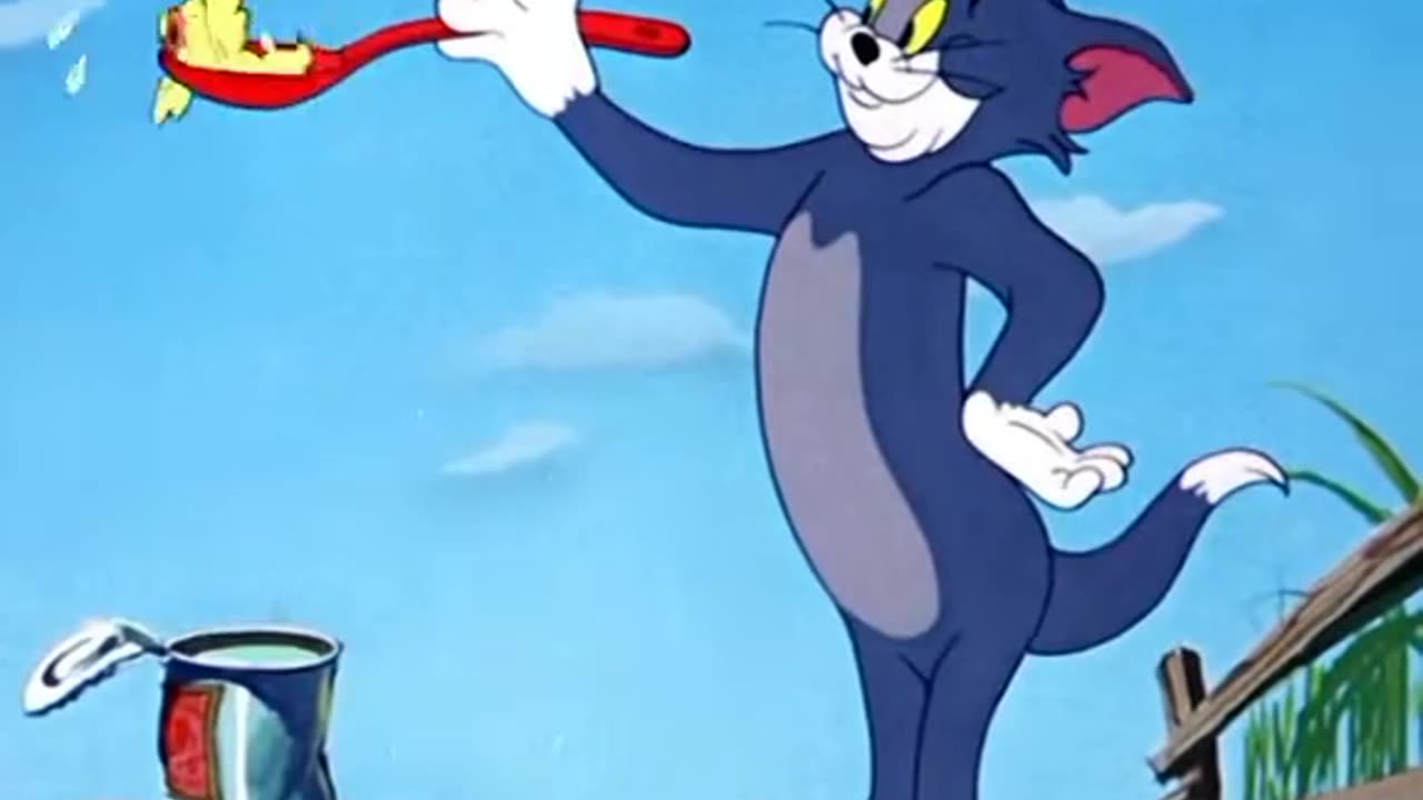 Kids favorite cartoons