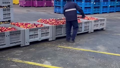 No wonder my apple is always bruised🤨