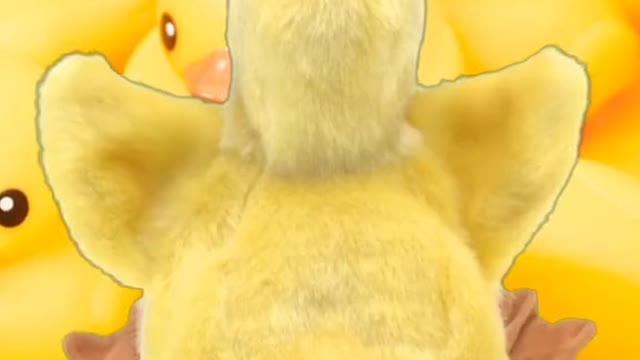 PATO