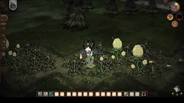 Don't Starve Together 7