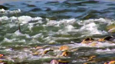 the sound of the sea