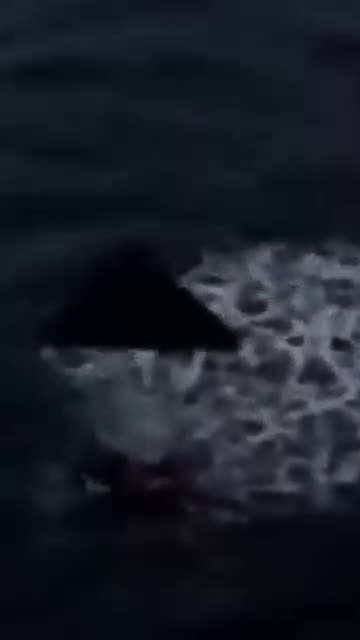 Peekaboo I got you again