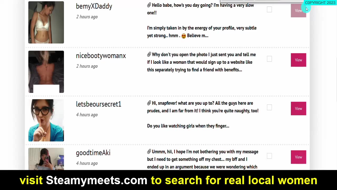 Shagsexts.com Review : Watch This Review Of Shagsexts To See If It's Legit (or a scam)