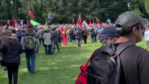 Go Freedom truckers in Canberra Australia