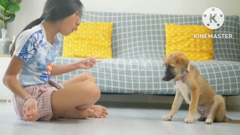 dog at home together