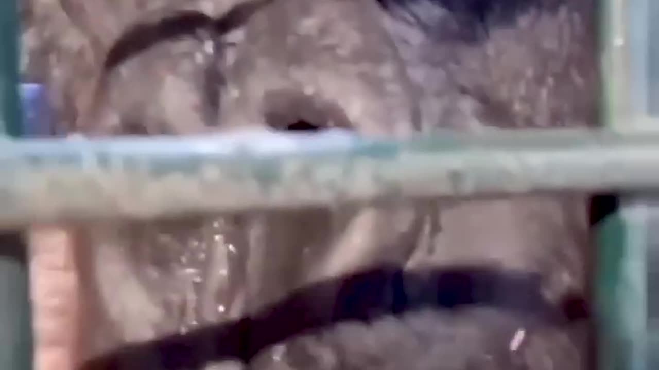Big fails 😅😅most funniest video