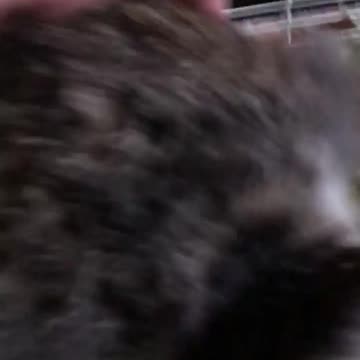 MAKE A TIMELY APPEARANCE