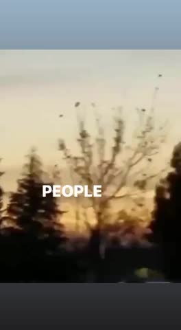 WHAT 🤫IS THE GOVERNMENT HIDING FROM😳US