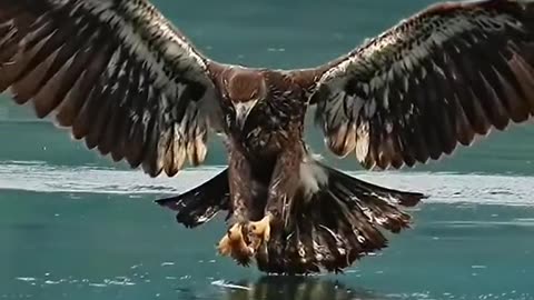 Beautiful Pakistan 42