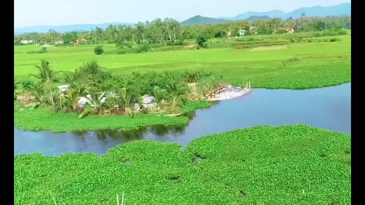 Phong cảnh làng quê Miền Trung, Việt Nam -Landscape of the countryside in the Central region,Vietnam