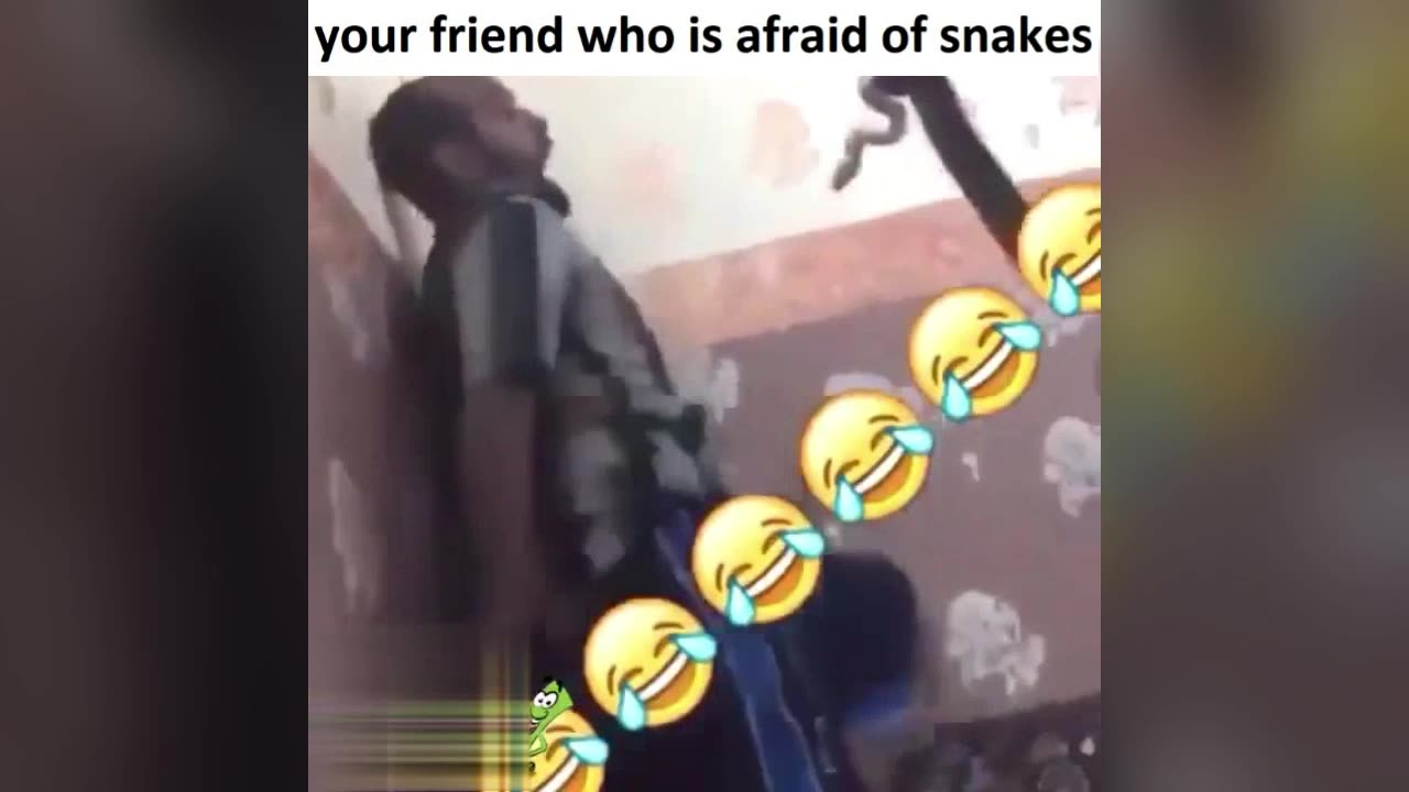 your friend who is afraid of snakes 🐍😂