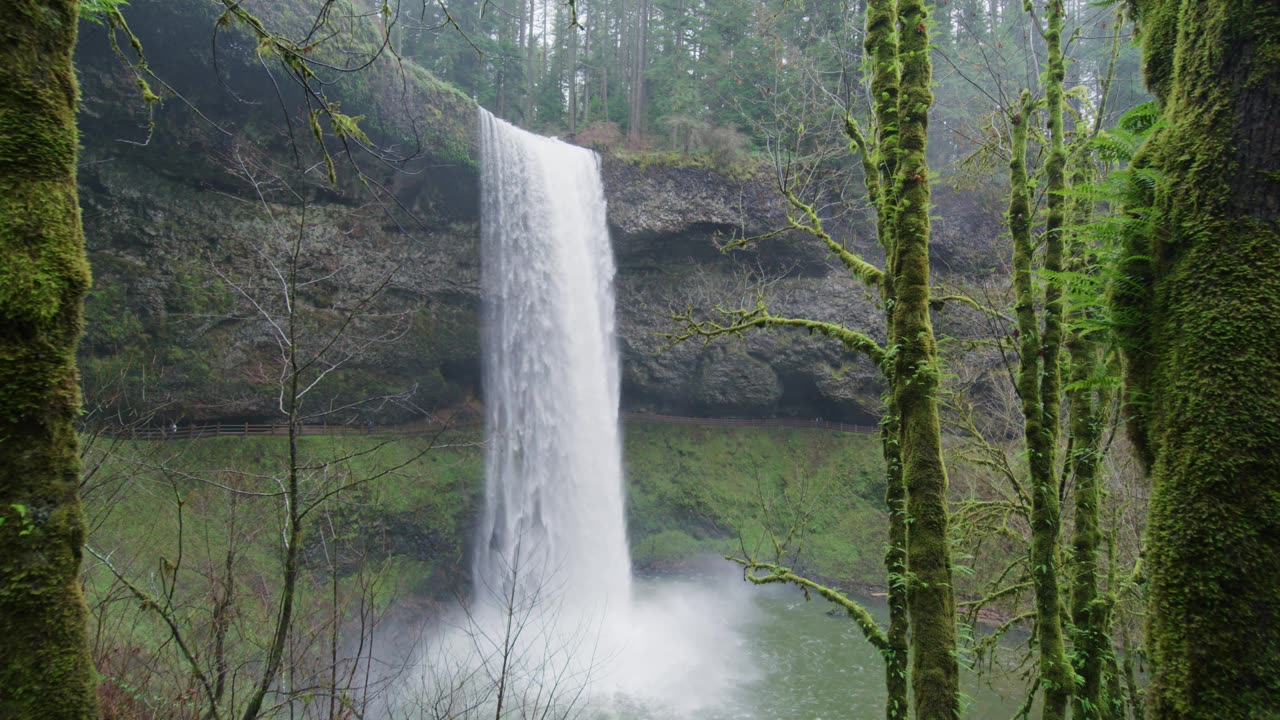 Majestic Waterfall in the Heart of Nature