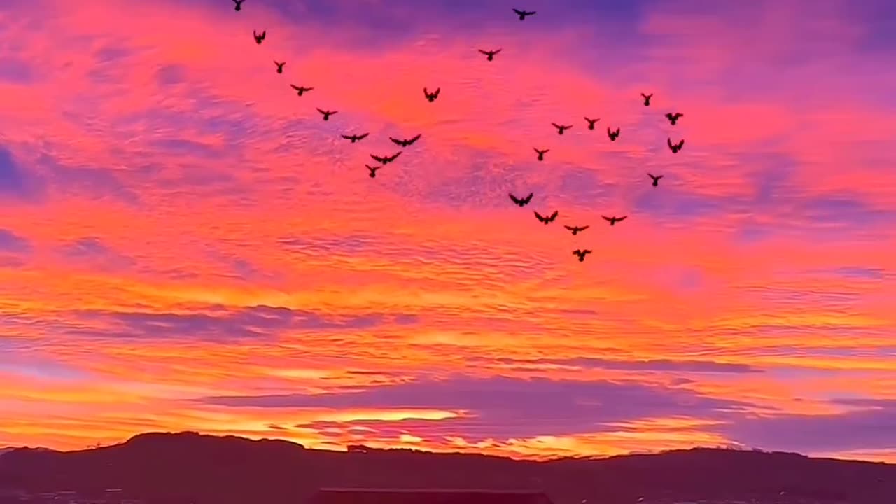 Such a beautiful and romantic sunset love, who will you share with first.❤️✨